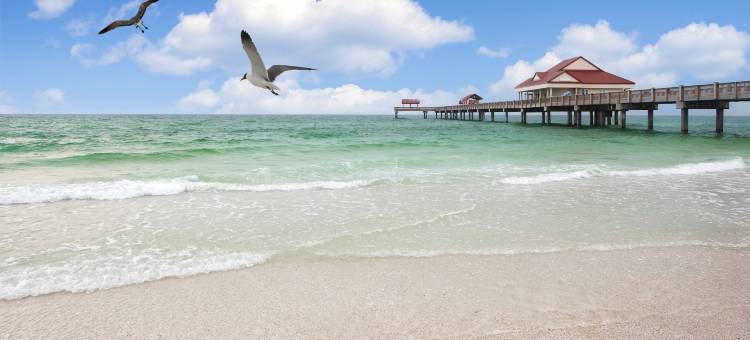 克利尔沃特海滩居家酒店(Residence Inn Clearwater Beach)图片