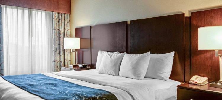 温泉城舒适套房酒店(Comfort Suites Near Hot Springs Park)图片