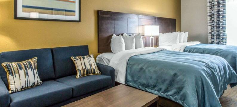 米德兰美茵斯坦套房酒店(MainStay Suites Midland)图片