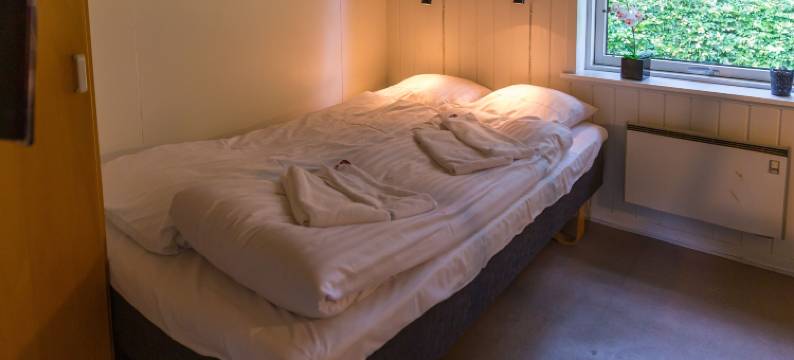 安萨格和西特比酒店(Ansager Hotel og Hytteby)图片