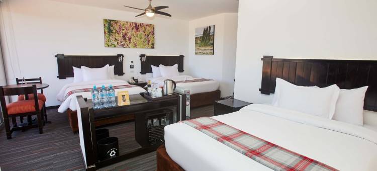 普诺尊贵卡萨安迪娜酒店(Casa Andina Premium Puno)图片