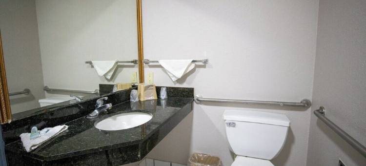 德拉克斯旅馆套房摩根城(Deluxe Inn & Suites Morgan City)图片