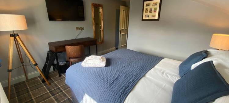 常春藤树(The Ivy Tree)图片