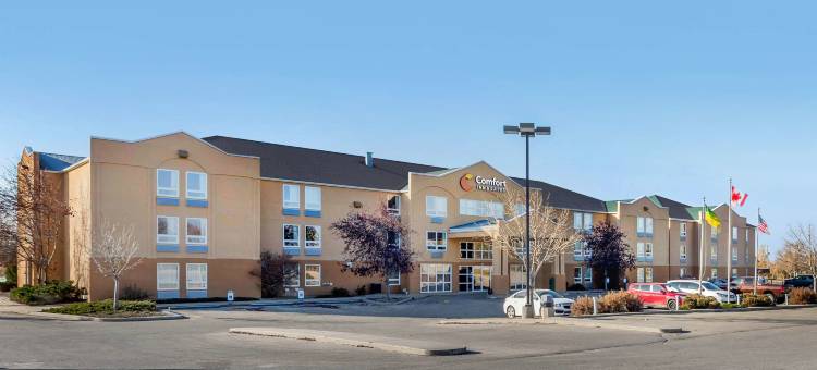 舒适套房酒店(Comfort Inn & Suites)图片