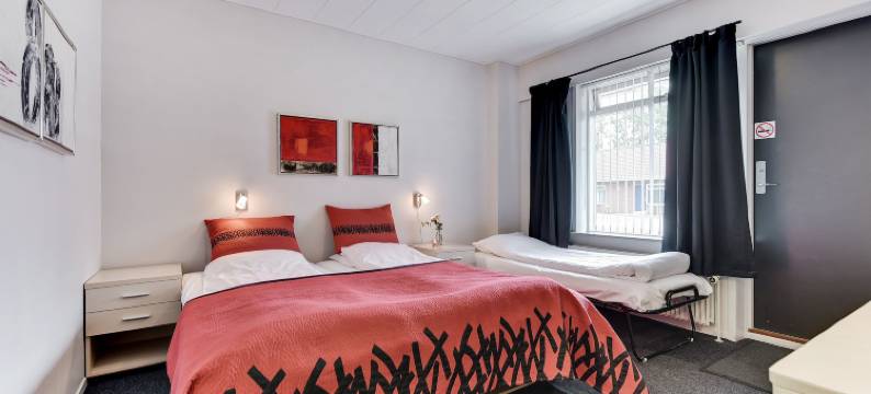 瓦尔德酒店(Hotel Varde)图片