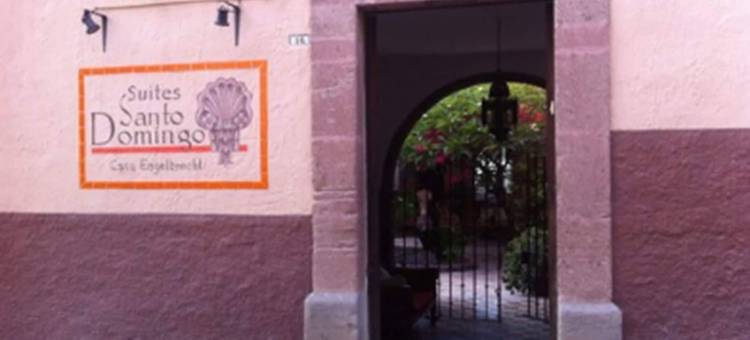 圣多明哥套房公寓式酒店(Suites Santo Domingo)图片
