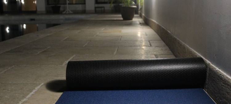 西谷棕榈酒店(Sago Palm Hotel)图片