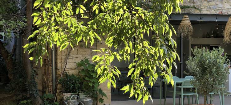 明亮夜晚酒店(Les Nuits Pétillantes)图片