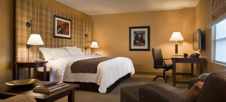 辛辛那提机场希尔顿逸林酒店(DoubleTree by Hilton Hotel Cincinnati Airport)图片