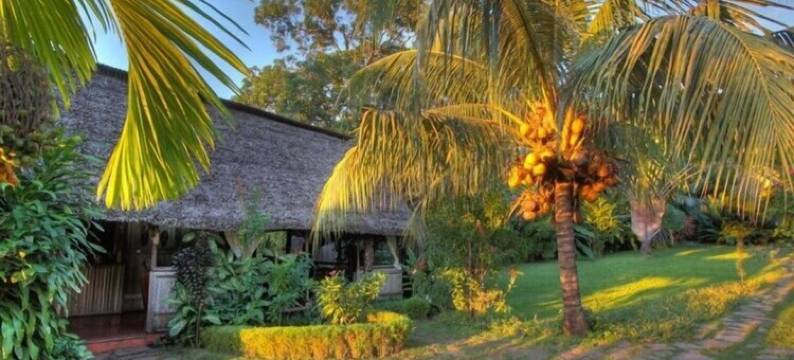 月光曲旅馆(Clair de Lune)图片