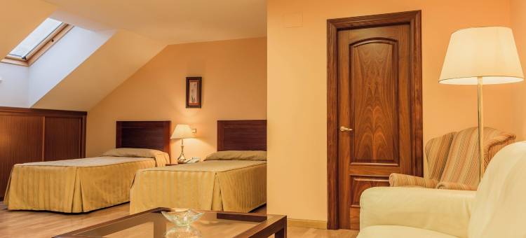 塞尔科特尔瓜迪亚纳酒店(Sercotel Guadiana)图片