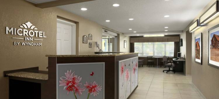 矿泉井城-帕克斯堡麦客达套房酒店(Microtel Inn & Suites by Wyndham Mineral Wells/Parkersburg)图片