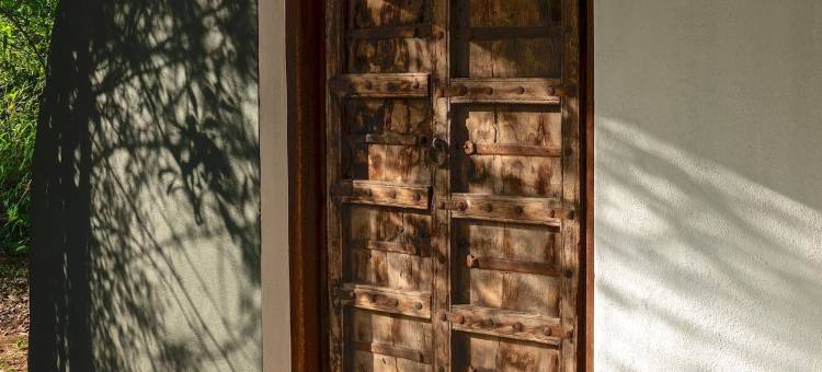 红地球塔多巴酒店(Red Earth Tadoba)图片