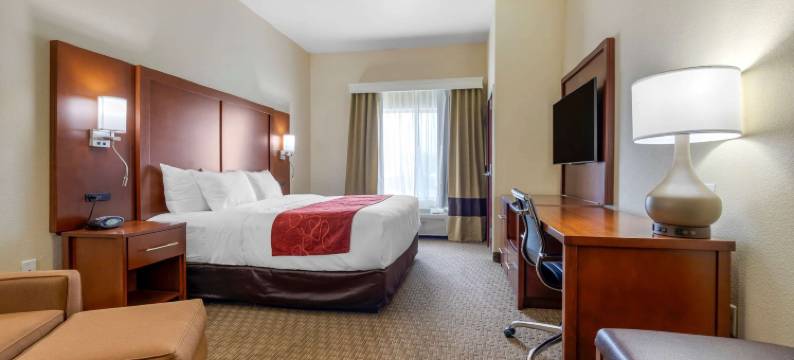 舒适套房酒店(Comfort Suites)图片