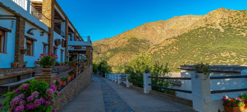 La Fragua II酒店(La Fragua II)图片