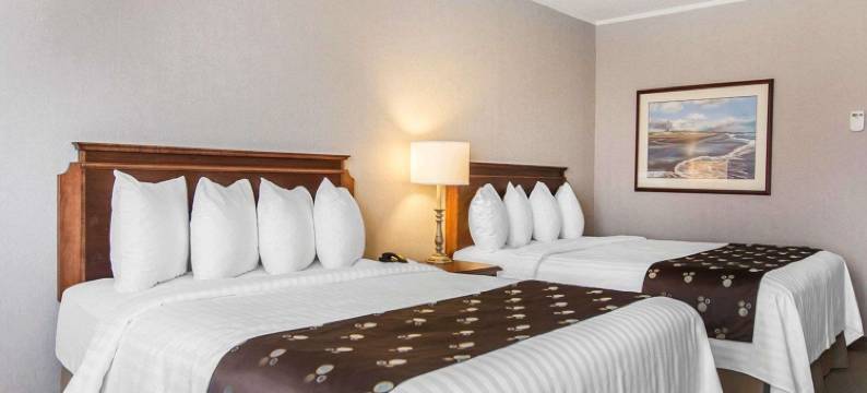 凯艺套房酒店-市区(Quality Inn & Suites Downtown)图片