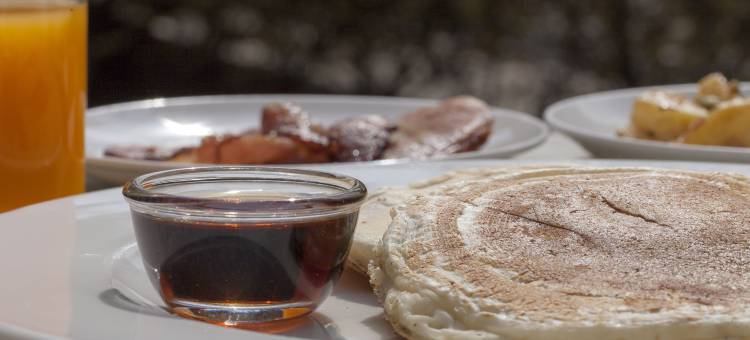 夏礼葛兰 Spa 酒店(Shaligram Hotel & Spa)图片