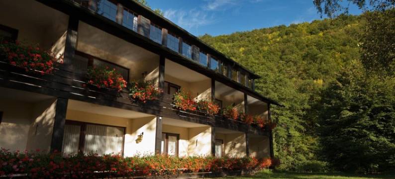 弗雷伦霍夫酒店(Hotel Forellenhof)图片