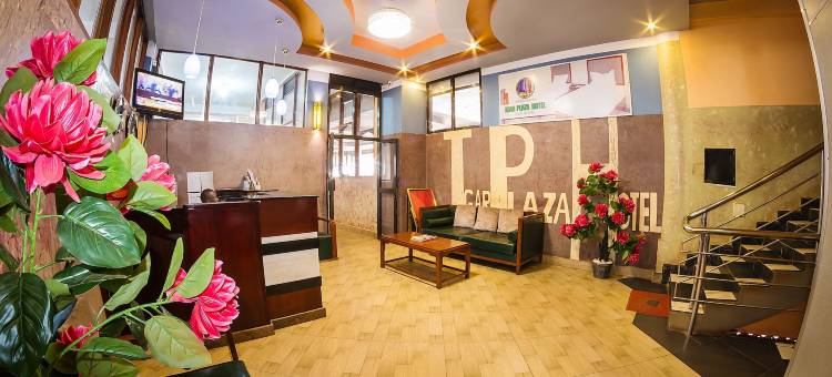 伊加尔广场酒店(Igar Plaza Hotel)图片