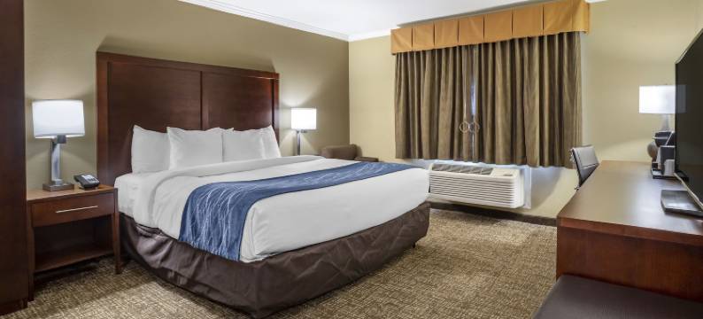 森尼维耳舒适酒店-硅谷(Comfort Inn Sunnyvale - Silicon Valley)图片