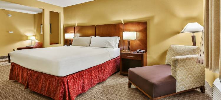 智选假日套房酒店休斯敦南 - 近皮尔兰(Holiday Inn Express & Suites HOUSTON SOUTH - PEARLAND by IHG)图片