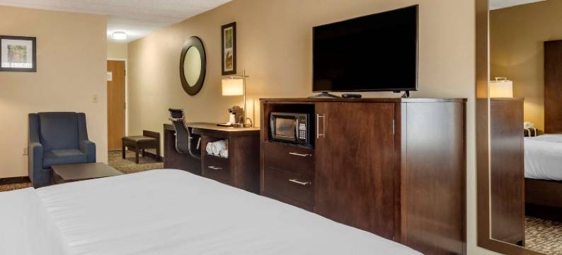 帕迪尤卡I-24舒适酒店(Comfort Inn Paducah I-24)图片