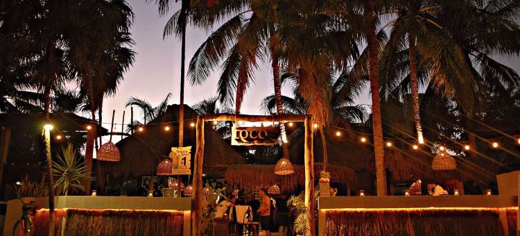 郊狼图兰家庭旅馆(Casa Coyote Tulum)图片