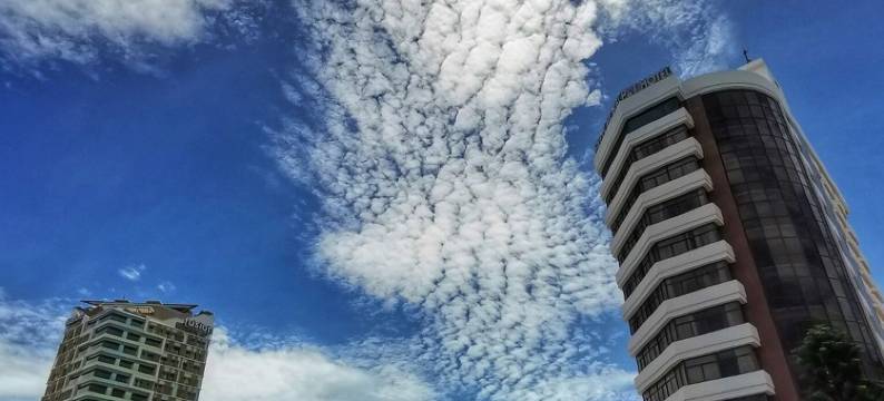 P＆T头顿酒店(Vung Tau P&T Hotel)图片