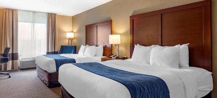 舒适套房酒店(Comfort Inn & Suites)图片