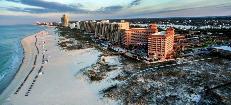 珀迪多基海滩度假村(Perdido Beach Resort)图片