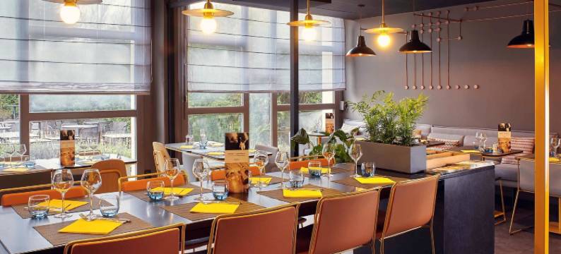 巴黎南部雷祖里科塔布夫美居酒店(Hôtel Mercure Paris Sud les Ulis Courtaboeuf)图片