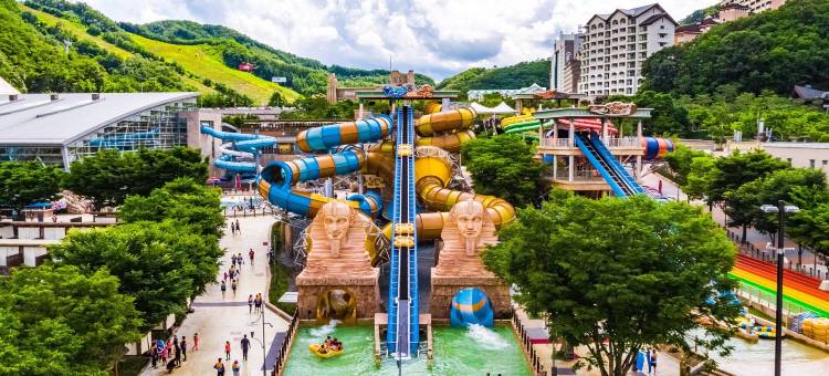 索诺宠物俱乐部度假村 维瓦尔第公园(Sono Pet Clubs & Resorts VivaldiPark)图片