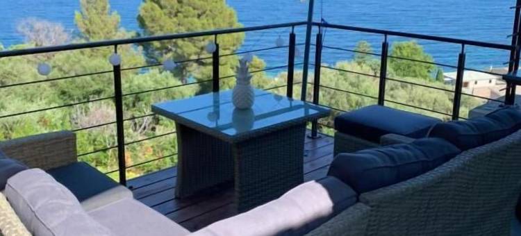 维塔诺瓦(Vita Nova)图片