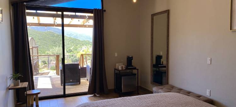 音译：考克纳斯德尔瓦列(Coquenas del Valle)图片