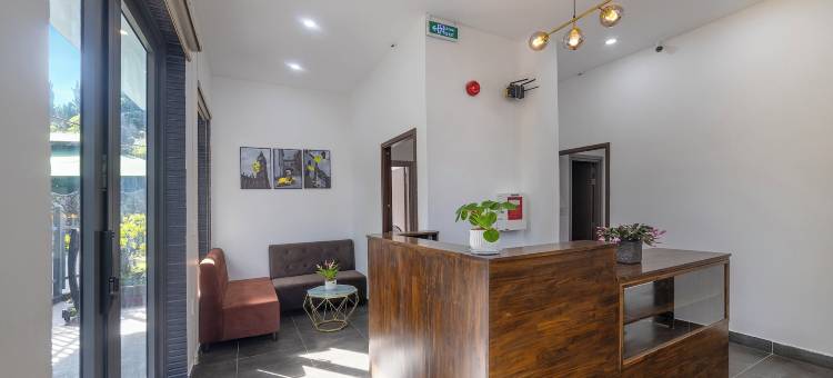 迪维尤霍特尔(D View Hotel)图片