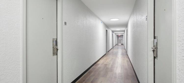 家庭套房(HomeStay Suites)图片