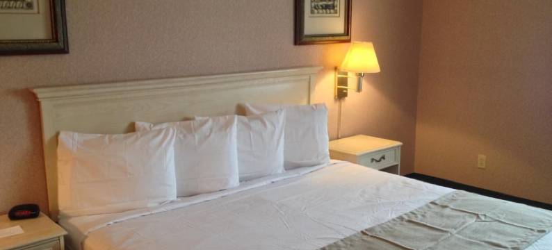 布里奇维尤帕克赛德旅馆(Parkside Inn Bridgeview)图片