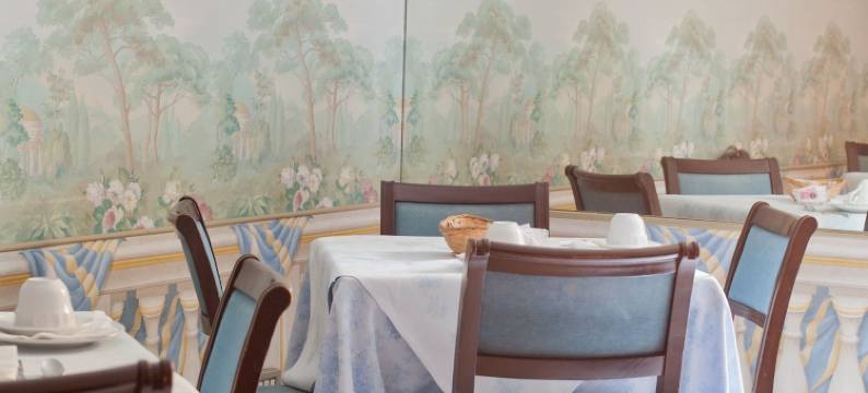 克拉西克酒店(Classic Hotel)图片