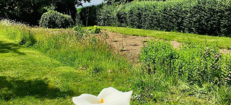 帕登霍夫住宿加早餐旅馆(Paardenhof Guesthouse)图片