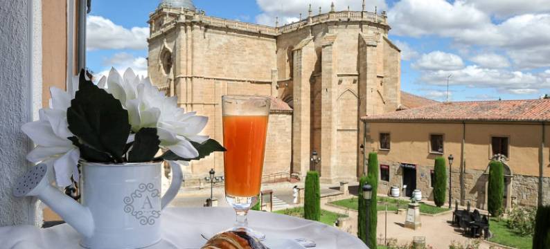 阿科斯大教堂酒店(Hotel Arcos Catedral)图片