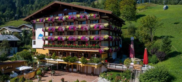 阿尔卑斯运动酒店(Alpin- Das Sporthotel, Summercard Included May - September)图片