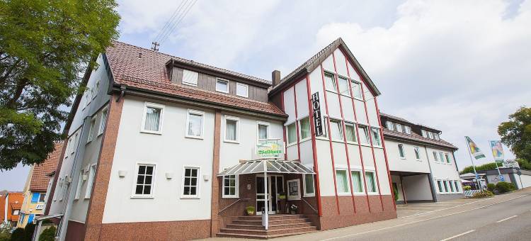 沃尔德霍恩酒店(Hotel Waldhorn)图片