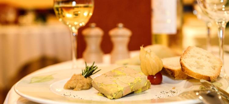 国际之家老酒店(Logis le Vieux Logis)图片