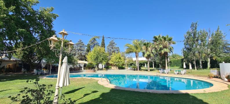 贡萨洛酒店(Hotel Don Gonzalo)图片