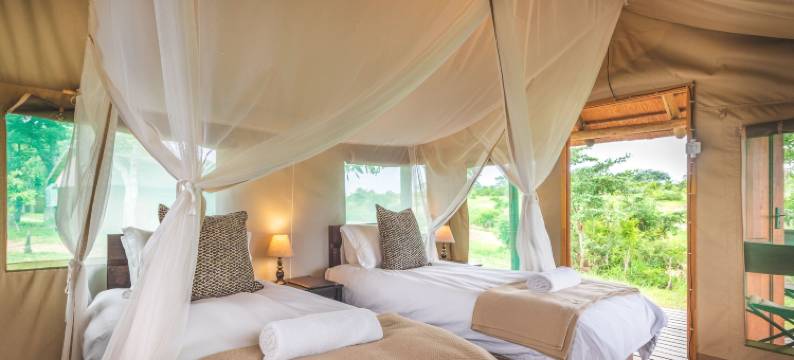 仙捷拉旅行者帐篷营(Shindzela Tented Camp)图片