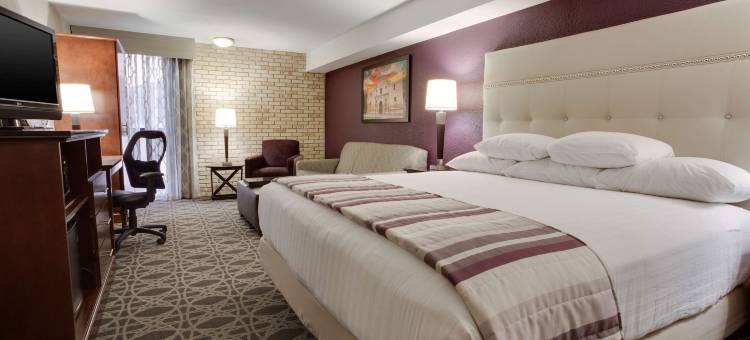 圣安东尼奥机场德鲁里广场酒店(Drury Plaza Hotel San Antonio Airport)图片