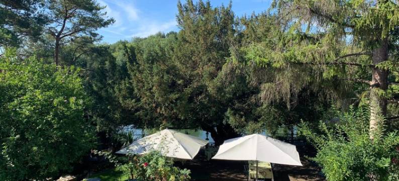 罗切斯港酒店(Logis Hôtel Auberge du Port des Roches)图片