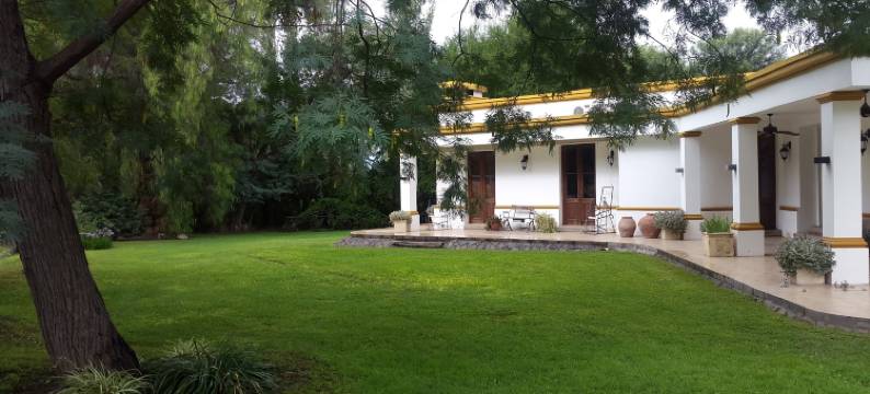 奥利弗旅馆(Posada del Olivo)图片