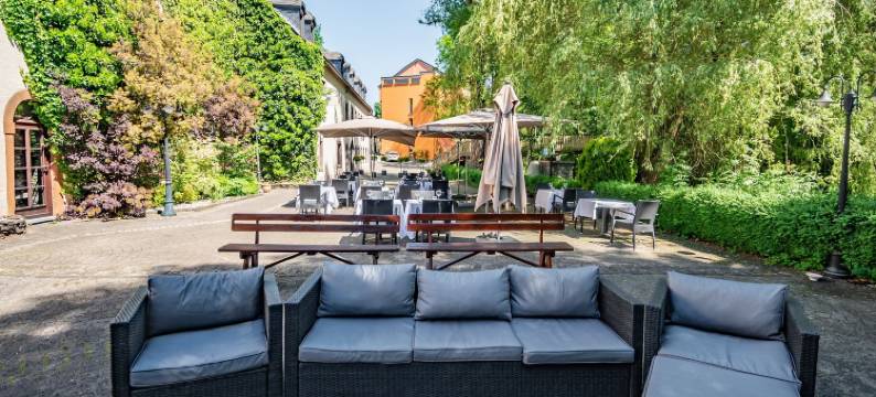 威尔兹制革厂酒店(Aux Tanneries de Wiltz)图片