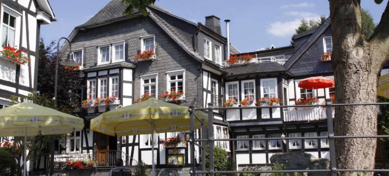 亚伯斯兰德酒店(Landhotel Albers)图片